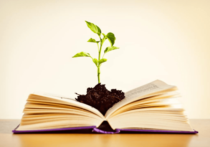 schermata-2016-09-22-alle-08-58-40