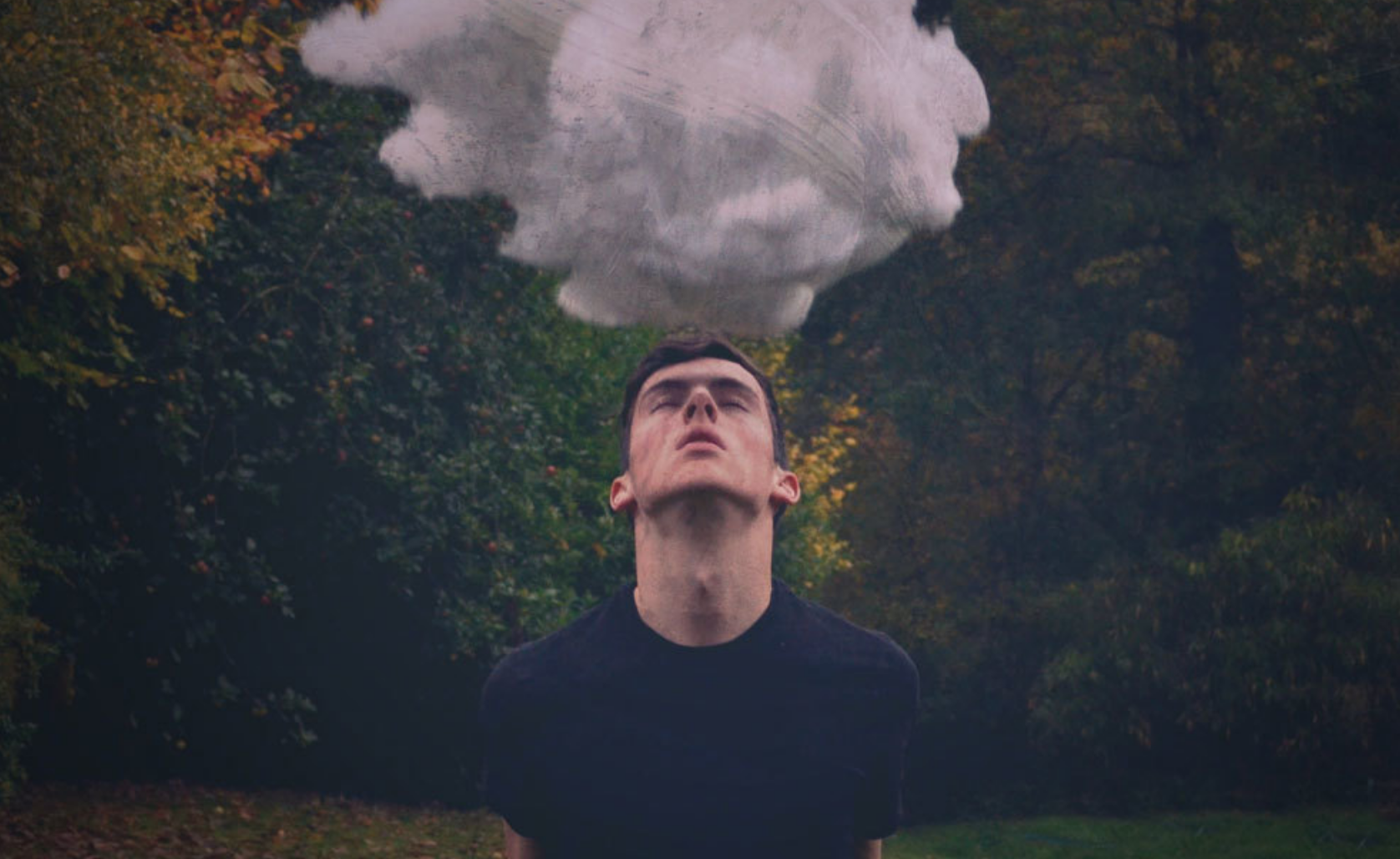 schermata-2017-01-03-alle-13-28-37