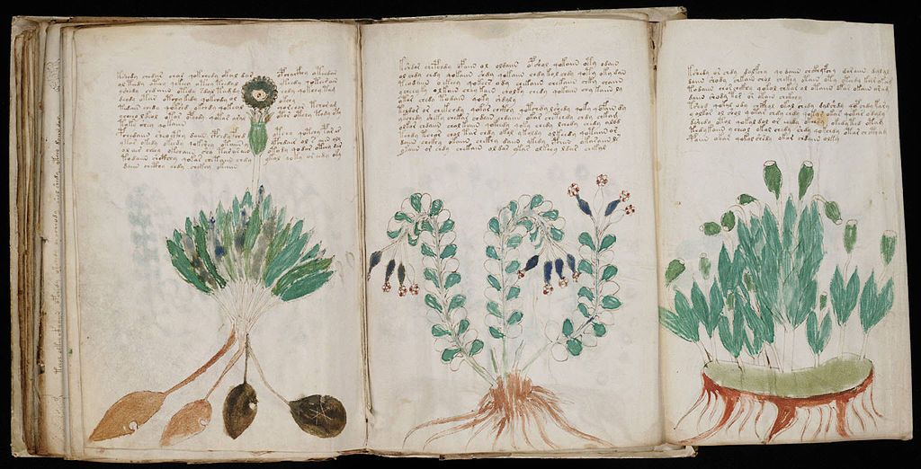 Voynich_a